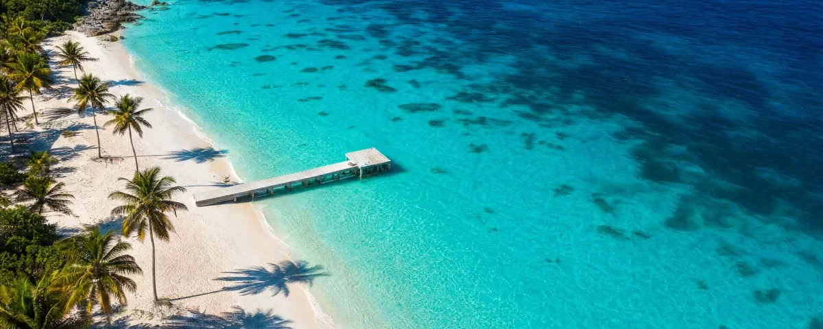 Aerial view of a turquoise Bahamas beach with palm trees and a wooden dock