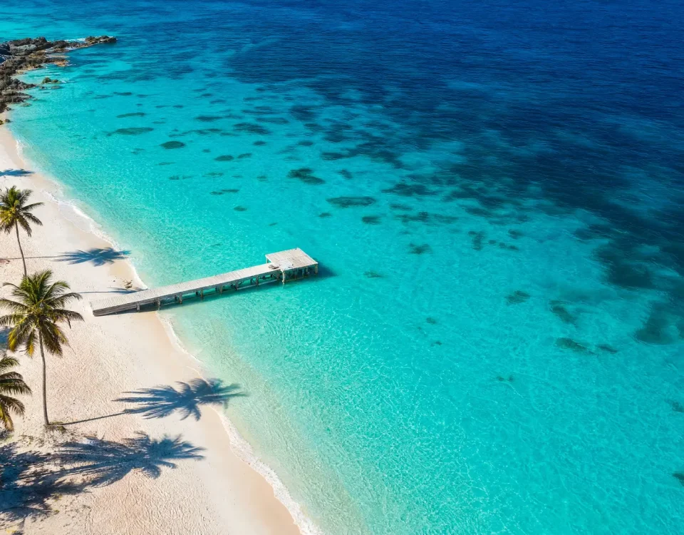 Aerial view of a turquoise Bahamas beach with palm trees and a wooden dock